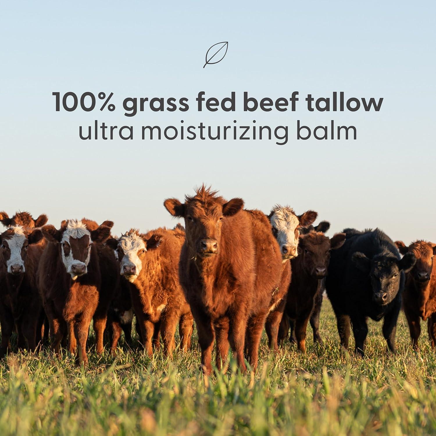 image100 Unscented Grass Fed Beef Tallow for Skin Body and Face Fragrance Free Moisturizing Honey Balm with ColdPressed Olive Oil and Beeswax Suitable For Dry Sensitive ampamp Irritated Skin 2 oz 57g