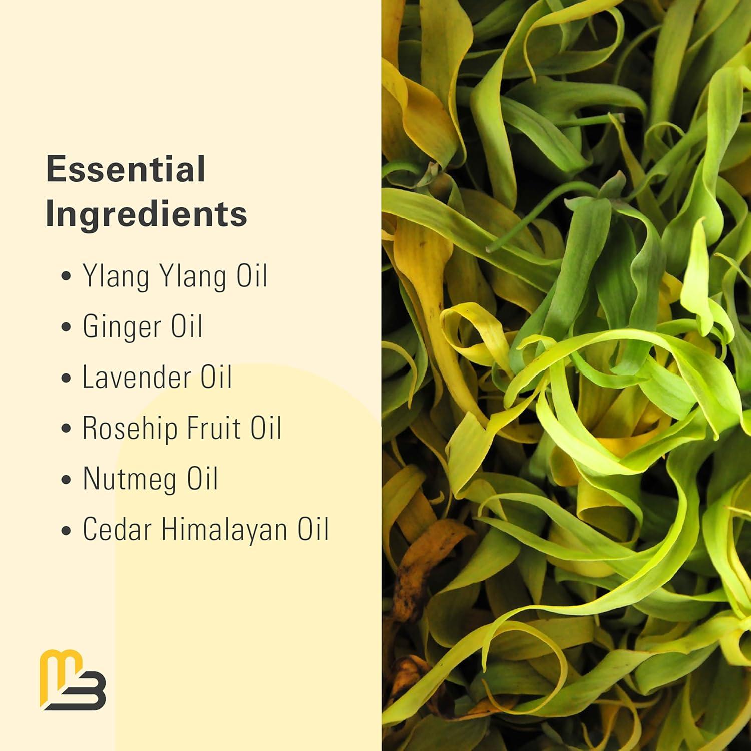 imageArnica Sore Muscle Massage Oil with Collagen Stem Cells and Menthol AntiCellulite Therapy for Full Body FastAbsorbing Multipurpose Treatment 8 fl oz by M3 NaturalsYlang Ylang Ginger 1 Pack