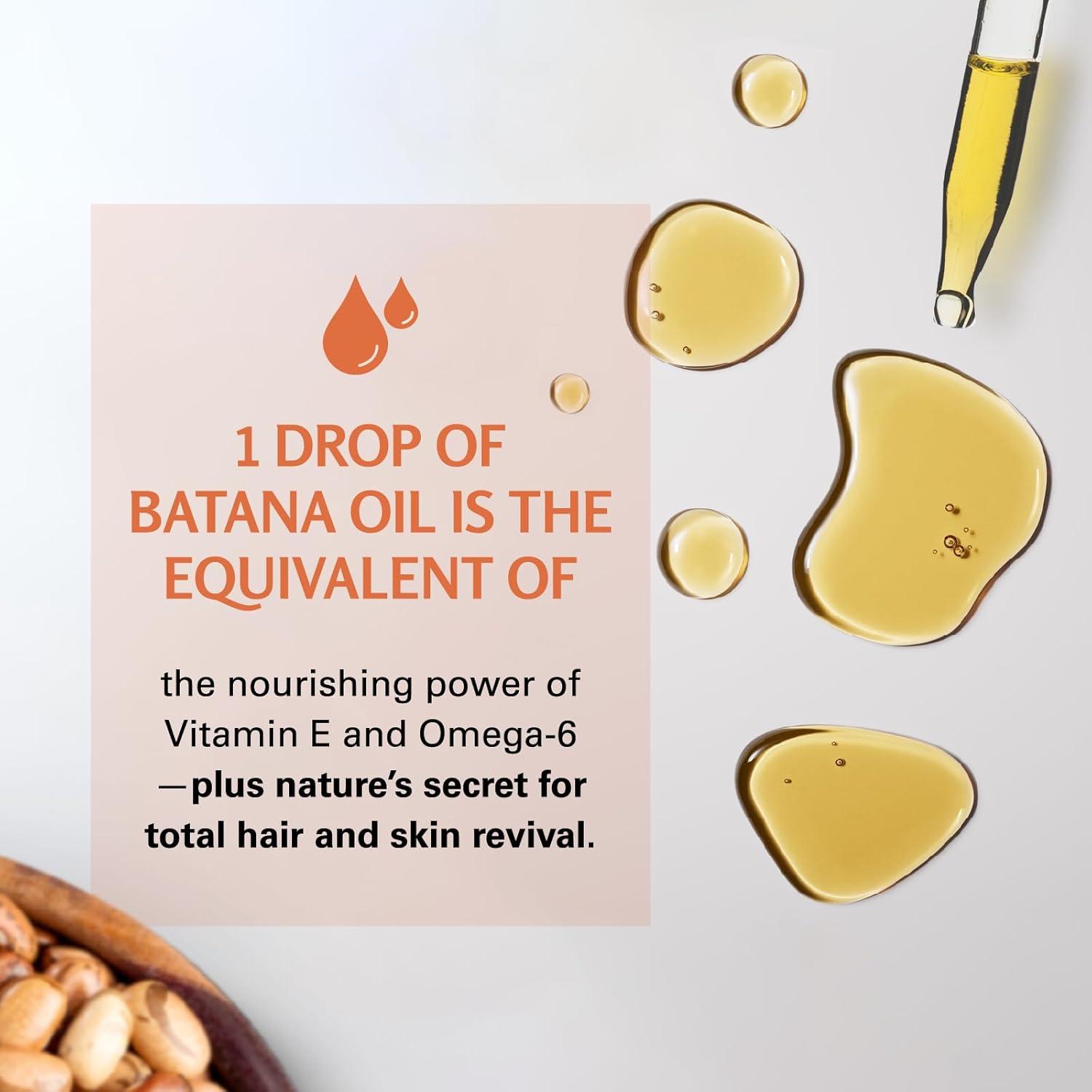 imageM3 Naturals Vegan Batana Oil Unrefined Batana Oil for Hair ampamp Skin Supports Healthy Skin ampamp Collagen Production 100 Pure Batana ampamp NonGMO 2 FL OZ 59 MLBatana Oil 1 Pack